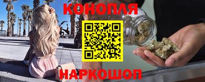 сатива Заводоуковск
