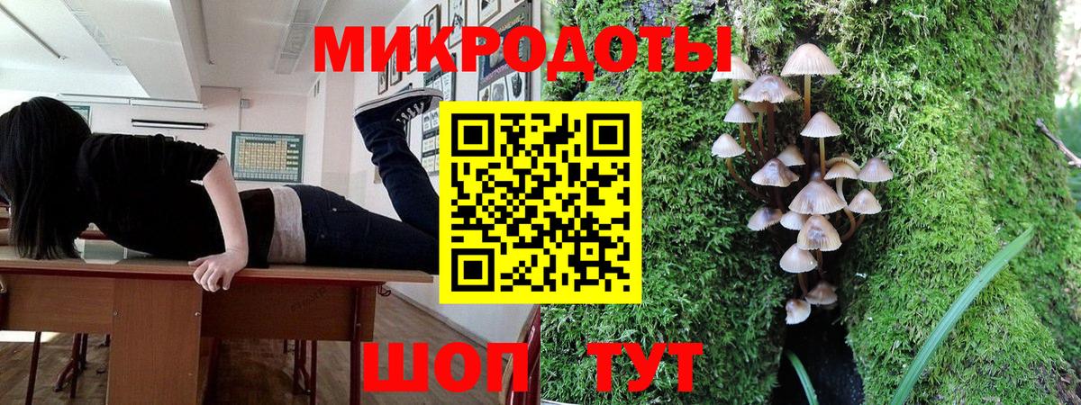 Галлюциногенные грибы MAGIC MUSHROOMS  Псилоцибиновые грибы Psilocybe  Михайловка  Вход с VPN 
