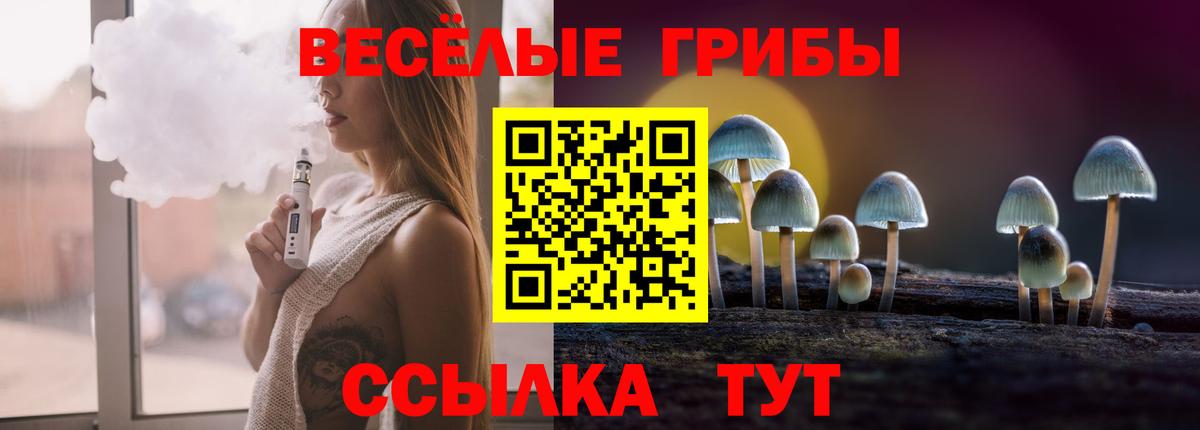 Галлюциногенные грибы Psilocybine cubensis Михайловка